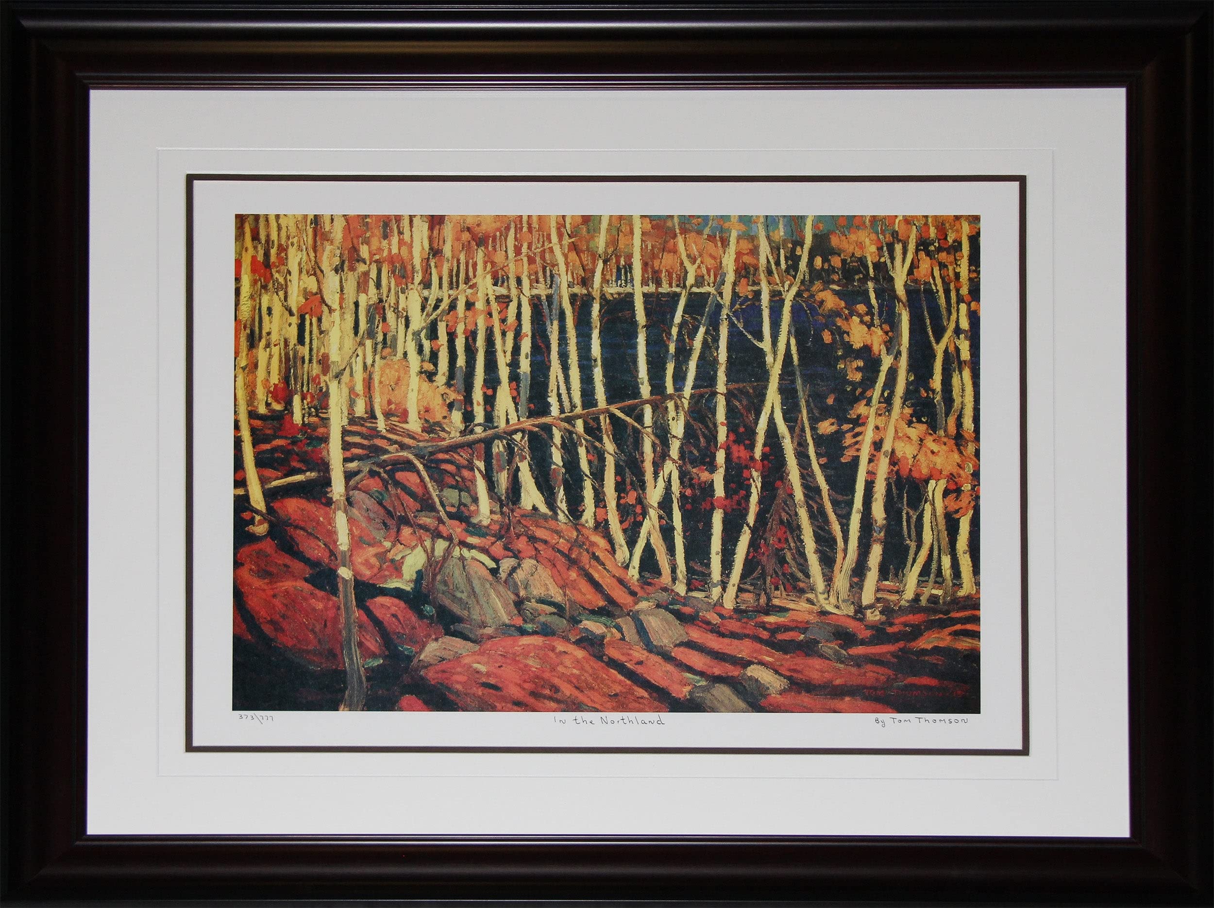 【美品】The Bush 5'4\